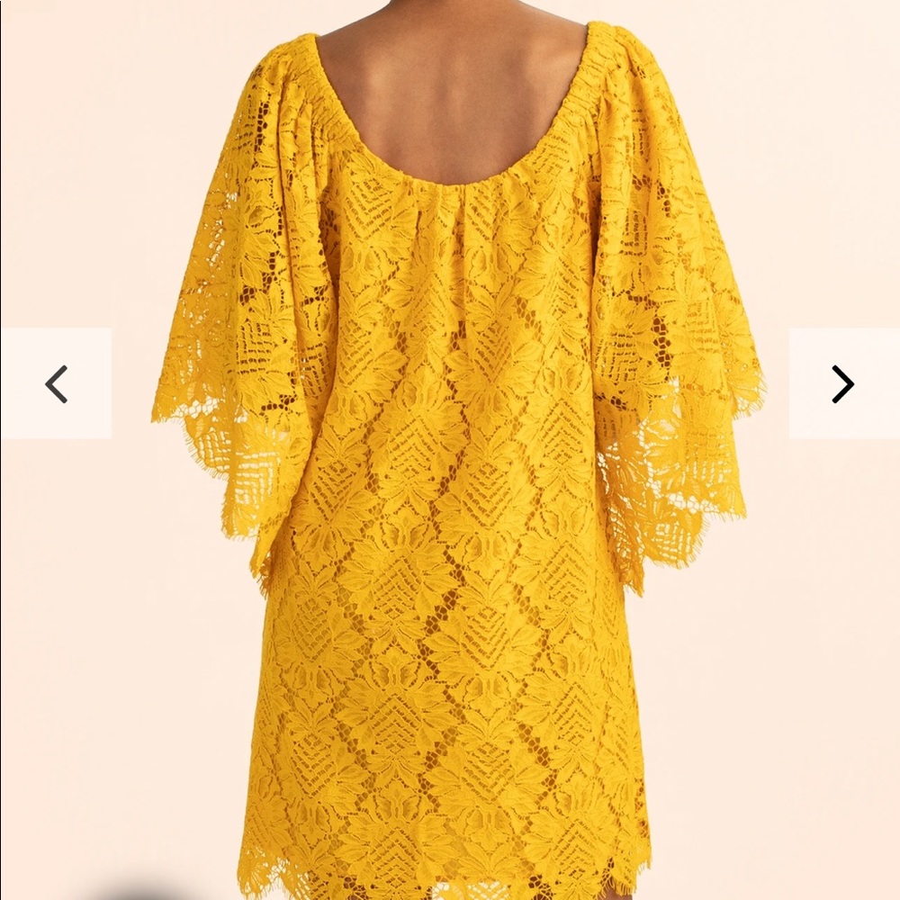 NWT never worn Trina Turk lace dress